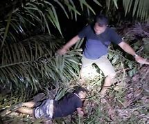 Beruang Menyerang Orang Berburu Babi Hutan Liar